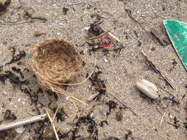 plant roots, moss, wrack, jute, beeswax